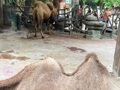 -长鹿旅游休博园