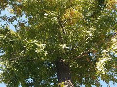 -龙口南山旅游景区