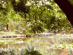 -北海道厅旧本厅舍(旧本庁舎)