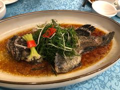-御唐府海珊瑚主题餐厅