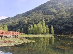 -广州市石门国家森林公园