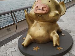 -星光大道