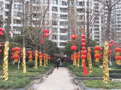 -新湖明珠城