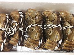 -七的湖·晚芳亭·阳澄湖农家菜·大闸蟹(莲花岛店)