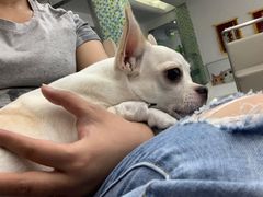 -爱侣宠医·鹦鹉专科·小型哺乳类·异宠专科(灵石路店)