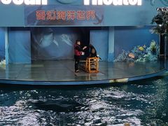 -苏州海洋馆