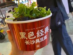 -黑色经典臭豆腐·湖南特产(坡子街店)