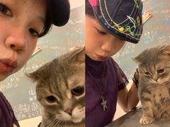 -猫咪派对(江南西店)