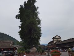 -崇州市街子古镇