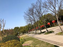 -新江湾城公园