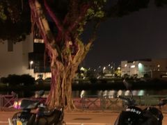 -亚利咖喱屋