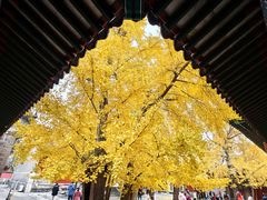 -承恩寺