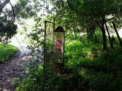 -大屏嶂森林公园