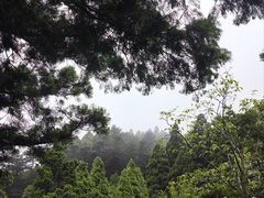 -庐山风景区花径公园