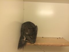 -龙猫仔乐园(惠福东路店)