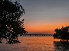 -宝安西湾红树林湿地公园