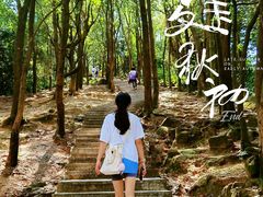 -火炉山森林公园