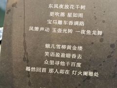 -龙抄手(文殊坊店)