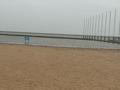 -碧海金沙