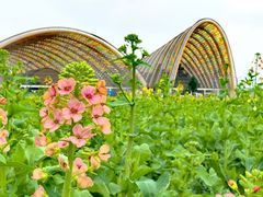 -中国天府农业博览园