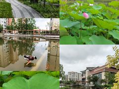 -梧桐人家中国太平国际健康颐养社区