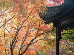 -秋霞圃