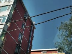 -Catch Bagel(芳草地店)