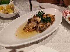 -金美华轩(东方路齐鲁店)