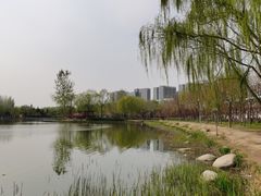 -大兴滨河森林公园