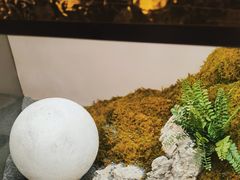 -隅乐胡椒虾·台湾菜·团建(皇岗店)