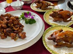 -麻奢鸽农庄·梦里水乡