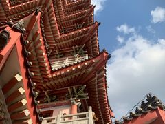 -合江楼