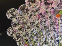 -轩 SUPER LIVE 超级现场(农科路店)