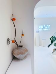-安那般那皮肤年轻化ANAPANA