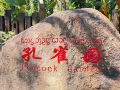 -西双版纳傣族园