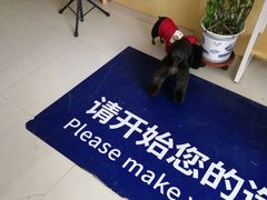 -宠颐生·恒爱宠物医院(静海店)