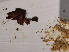 -西夏回族烧麦馆(牡丹街店)