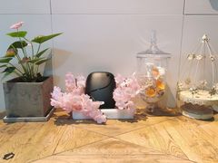-张爱施法式西餐厅(汉街店)