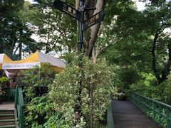 -三鹰之森吉卜力美术馆