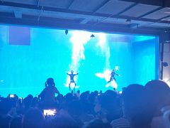 -芜湖新华联大白鲸海洋公园