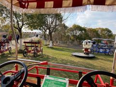 -上海海湾国家森林公园