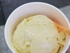 -iceason爱茜茜里·意大利健康冰淇淋(骑龙巷店)