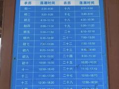 -奉贤海滩