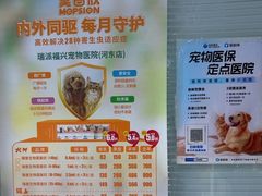 -瑞派福兴宠物医院犬猫全科·骨科·中西医结合(河东店)