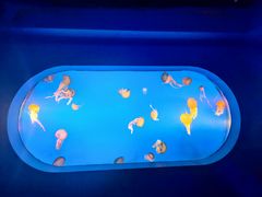 -太平洋海底世界