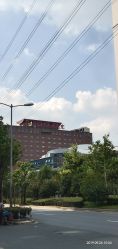 -上海市儿童医院(泸定路院区)