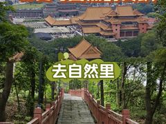 -南国桃园旅游度假区