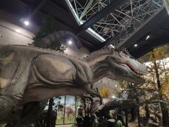 -湖南省地质博物馆