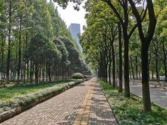 -后襄河公园