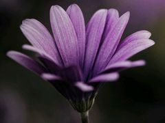 -敬亭山风景名胜区